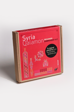 Folkglory: Syria, Qalamon Beginner Embroidery Kit